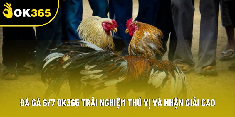 Đá Gà 6/7 OK365 Trải Nghiệm Thú Vị Và Nhận Giải Cao