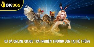 Đá Gà Online OK365 Trải Nghiệm Thưởng Lớn Tại Hệ Thống