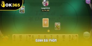 Đánh Bài Phỏm - Trò Chơi Giải Trí Trực Tuyến Hấp Dẫn